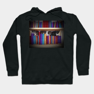 Kitten Bookshelf Hoodie